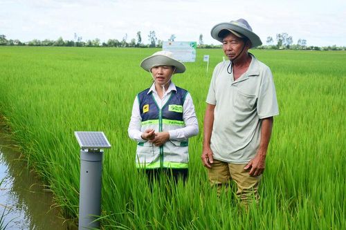 Sáng tạo trên những cánh đồng