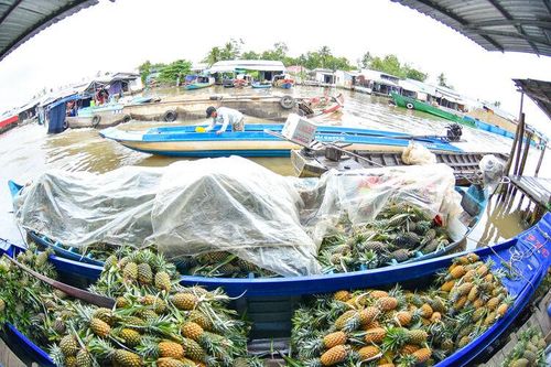 Lênh đênh kiếp thương hồ