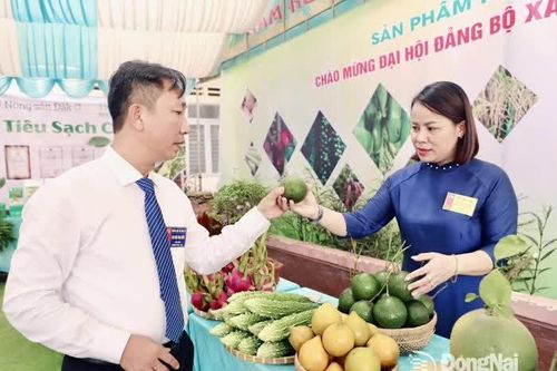 Phát triển nông nghiệp công nghệ cao, nông nghiệp sạch