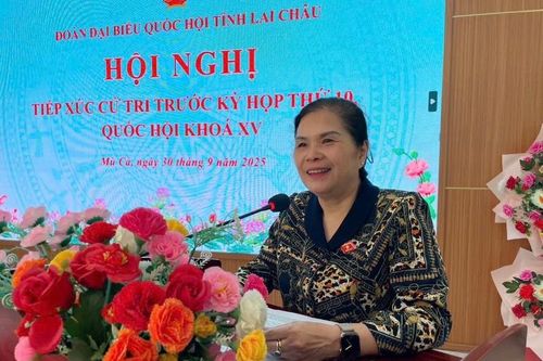 Tiếp xúc cử tri trước Kỳ họp thứ 10, Quốc hội khóa XV