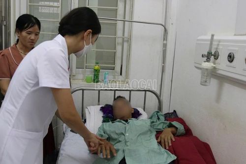 Lào Cai: Cảnh báo gia tăng bệnh Whitmore trong mùa mưa lũ