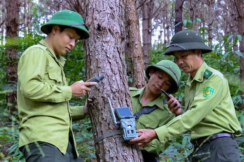 Thách thức số hóa dữ liệu lâm nghiệp ở Lâm Đồng