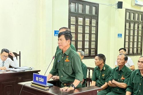 Trả hồ sơ, điều tra lại vụ 6 cựu chiến binh phạm tội phá rừng