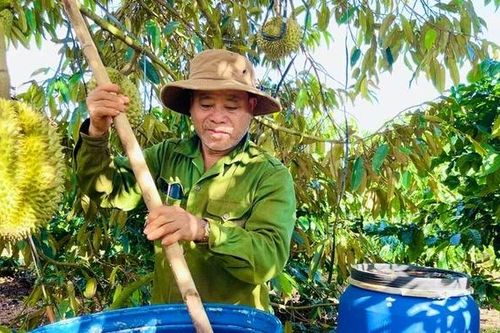 'Biến' rác thải thành phân bón hữu cơ