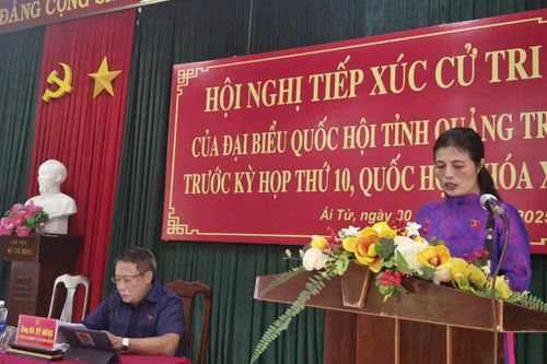 Đại biểu Quốc hội tiếp xúc cử tri trước kỳ họp thứ 10, Quốc hội khóa XV