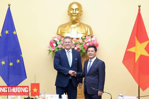 Tháo gỡ vướng mắc trong thương mại và đầu tư, thúc đẩy thực hiện đầy đủ cam kết Hiệp định EVFTA