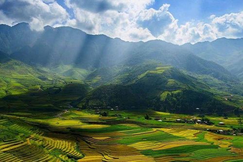 Đi qua mùa rẫy