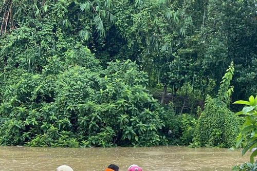 Tuyên Quang: Khẩn trương hỗ trợ Nhân dân ứng phó mưa bão