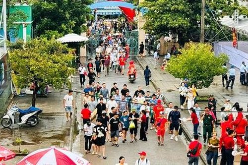 Lễ hội chọi trâu Đồ Sơn thu hút hàng vạn lượt khách, giá thịt 'trâu chọi' 3 triệu đồng/kg