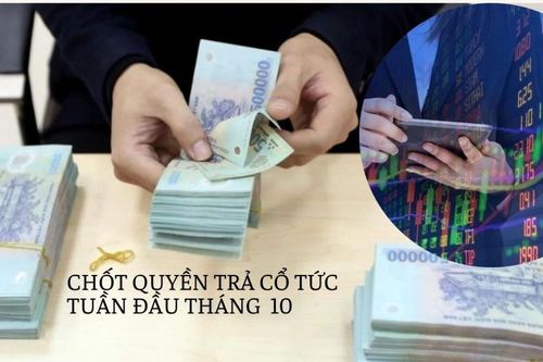 Tháng 10 rộn ràng mùa cổ tức: ngân hàng, sản xuất và bảo hiểm đồng loạt nhập cuộc