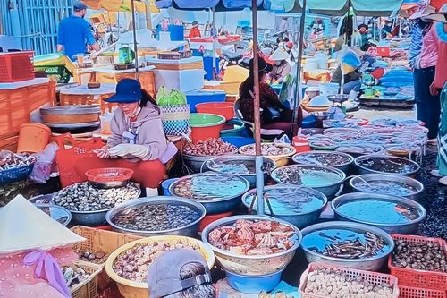 Thị trường thủy sản - 'mỏ vàng' còn bị lãng quên