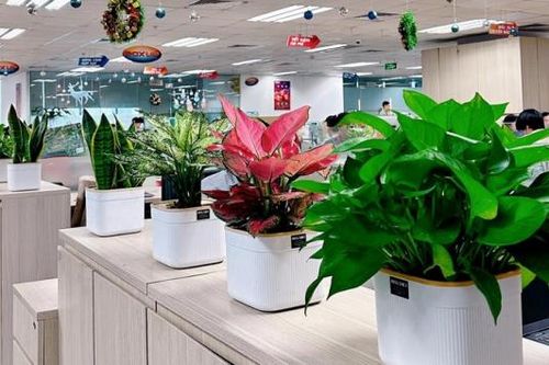 Xu hướng văn phòng xanh - Lợi thế tạo trải nghiệm đặc biệt cho khách thuê