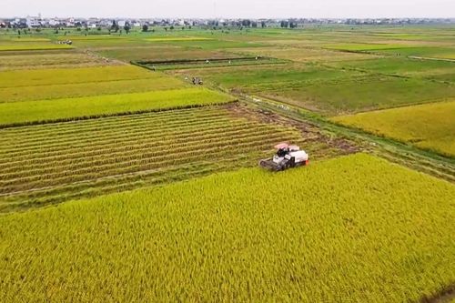 Hà Nội quy định công trình được xây trên đất nông nghiệp