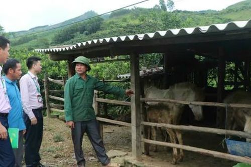 Nỗ lực tạo chuyển biến mạnh mẽ trong giảm nghèo bền vững tại Bắc Ninh
