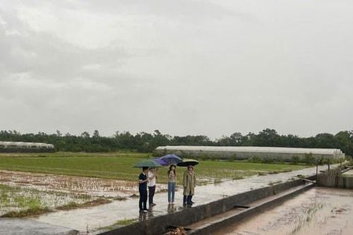 Xã Phúc Lộc: Mưa lớn làm ngập úng và sạt lở nhiều tuyến đường, mương tiêu