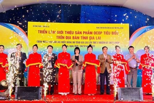 Gia Lai: Hơn 50 gian hàng tham gia Triển lãm sản phẩm OCOP tiêu biểu