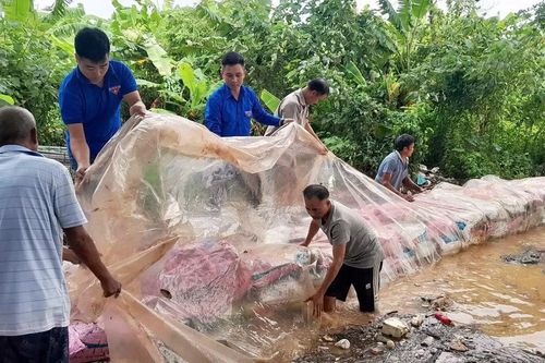 Tuổi trẻ Thủ đô khẩn trương hỗ trợ nhân dân khắc phục hậu quả sau bão số 10