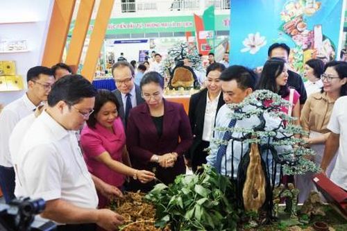 Khai mạc Hội chợ EWEC Đà Nẵng - 2025