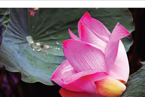 Triển lãm ảnh Người cao tuổi: Không gian hội tụ nghệ thuật, kết nối các thế hệ
