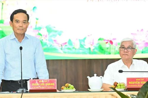 Bí thư Thành ủy TPHCM Trần Lưu Quang: Ưu tiên xây dựng trường lớp, nhất là ở nơi đông dân