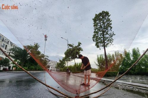 Nước ngập tràn, người dân Hà Nội đổ xô tung lưới bắt cá