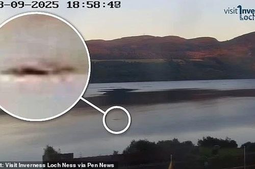 Thợ săn 'quái vật hồ Loch Ness' sửng sốt khi sinh vật dài hơn 5m nổi lên giữa hồ