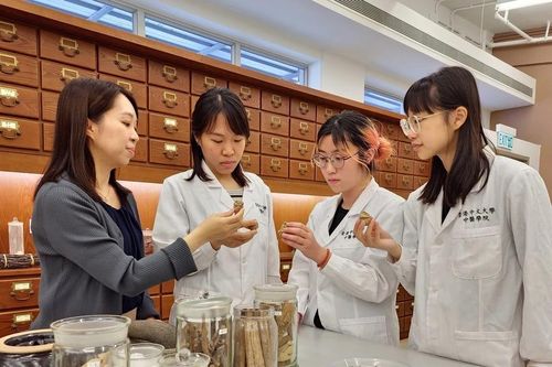 Đại học Hồng Kông dạy y học cổ truyền bằng AI
