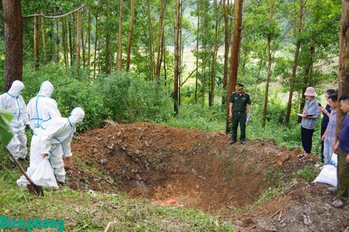 BĐBP tỉnh Điện Biên tiêu hủy tang vật vi phạm