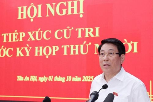 Chủ tịch nước đề nghị TP Hồ Chí Minh giải quyết các vấn đề dân sinh, nâng hiệu quả chính quyền 2 cấp