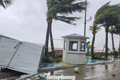 Cảnh ngổn ngang, xác xơ ở bãi biển đẹp nổi tiếng Thanh Hóa