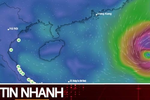 TIN NHANH: Bão Bualoi vừa tan đã xuất hiện 'mầm mống' bão số 11, miền Bắc lại sắp mưa lớn