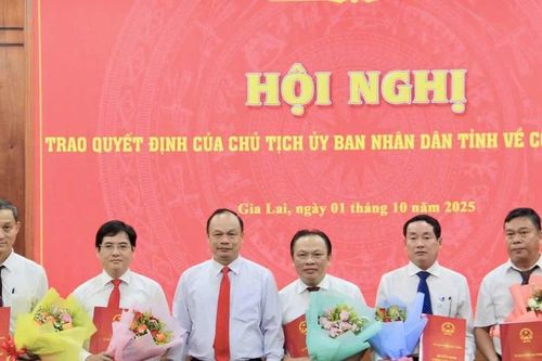 Gia Lai điều động, bổ nhiệm cán bộ