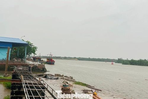 Lũ vượt báo động 3, Hưng Yên yêu cầu trực đê 24/24, có phương án di dời dân