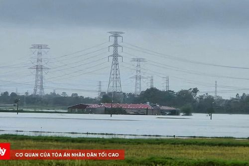 Lũ nhấn chìm gần 8.000 ha hoa màu, nông dân nguy cơ 'mất trắng' vụ lúa chín
