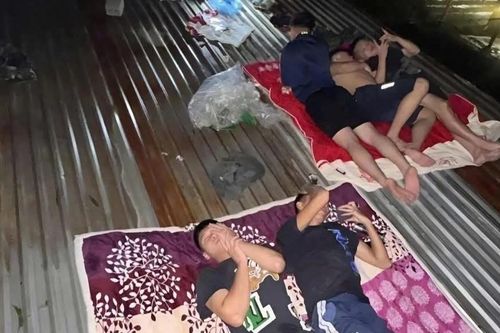 Hình ảnh 'giấc ngủ trên mái nhà' trong vùng lũ khiến triệu người xót xa