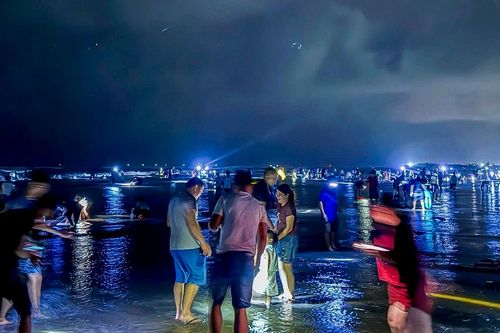 Cả làng rủ nhau mang bao tải, soi đèn săn 'lộc biển' ở Ninh Bình