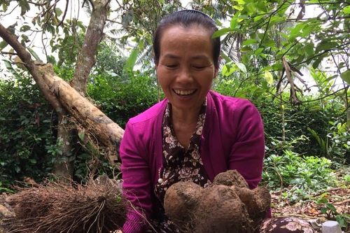 'Bao giờ con về?', câu hỏi của mẹ khiến con day dứt giữa phố thị