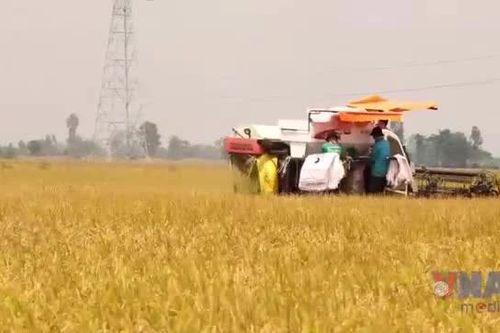Tốn thất hàng tỷ USD mỗi năm do bảo quản sau thu hoạch yếu kém