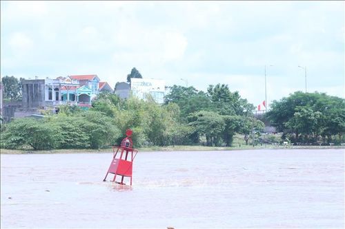 Báo động cấp I trên sông Trà Lý, sông Thái Bình