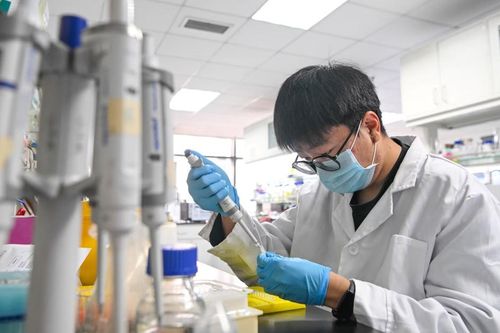 Vì sao nhiều nhân tài gốc Hoa rời Mỹ để trở về Trung Quốc?