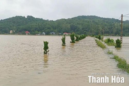 Hàng trăm hộ dân thôn Tiên Nông (xã Định Hòa) bị cô lập