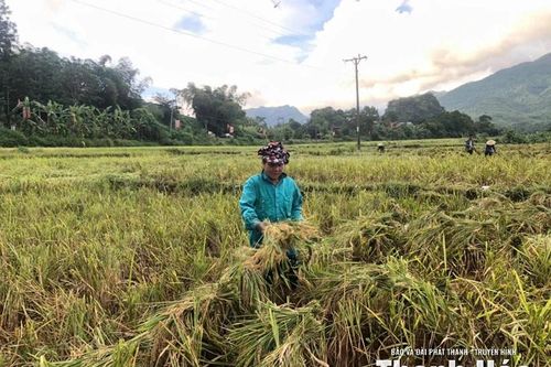 Xã Bá Thước khắc phục hậu quả bão số 10