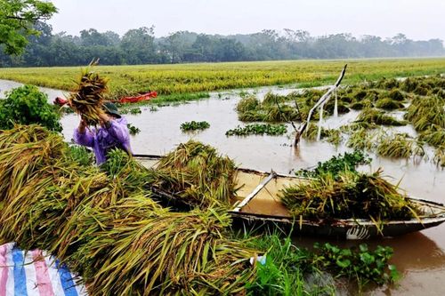 Phú Thọ báo động trên nhiều tuyến sông, vận hành hàng loạt trạm bơm ứng phó lũ lụt