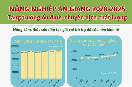 Nông nghiệp An Giang 2020-2025: Tăng trưởng ổn định, chuyển dịch chất lượng