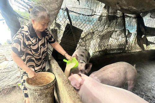 Từ khó khăn vươn lên, ấp Thạnh Tây không còn hộ nghèo