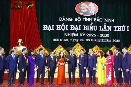 Bắt tay ngay vào hành động