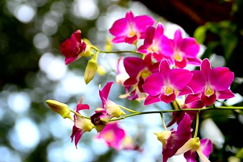 Bản tin Dự báo thời tiết ngày 2/10/2025