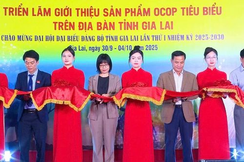 Triển lãm OCOP chào mừng Đại hội đại biểu Đảng bộ tỉnh Gia Lai lần thứ I