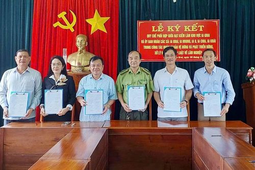 Ký kết quy chế phối hợp quản lý, bảo vệ và phát triển rừng