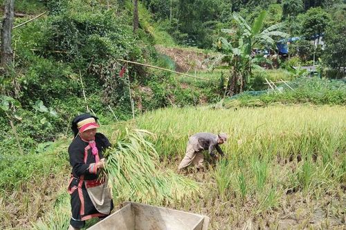 Đổi thay ở Séo Lẻn